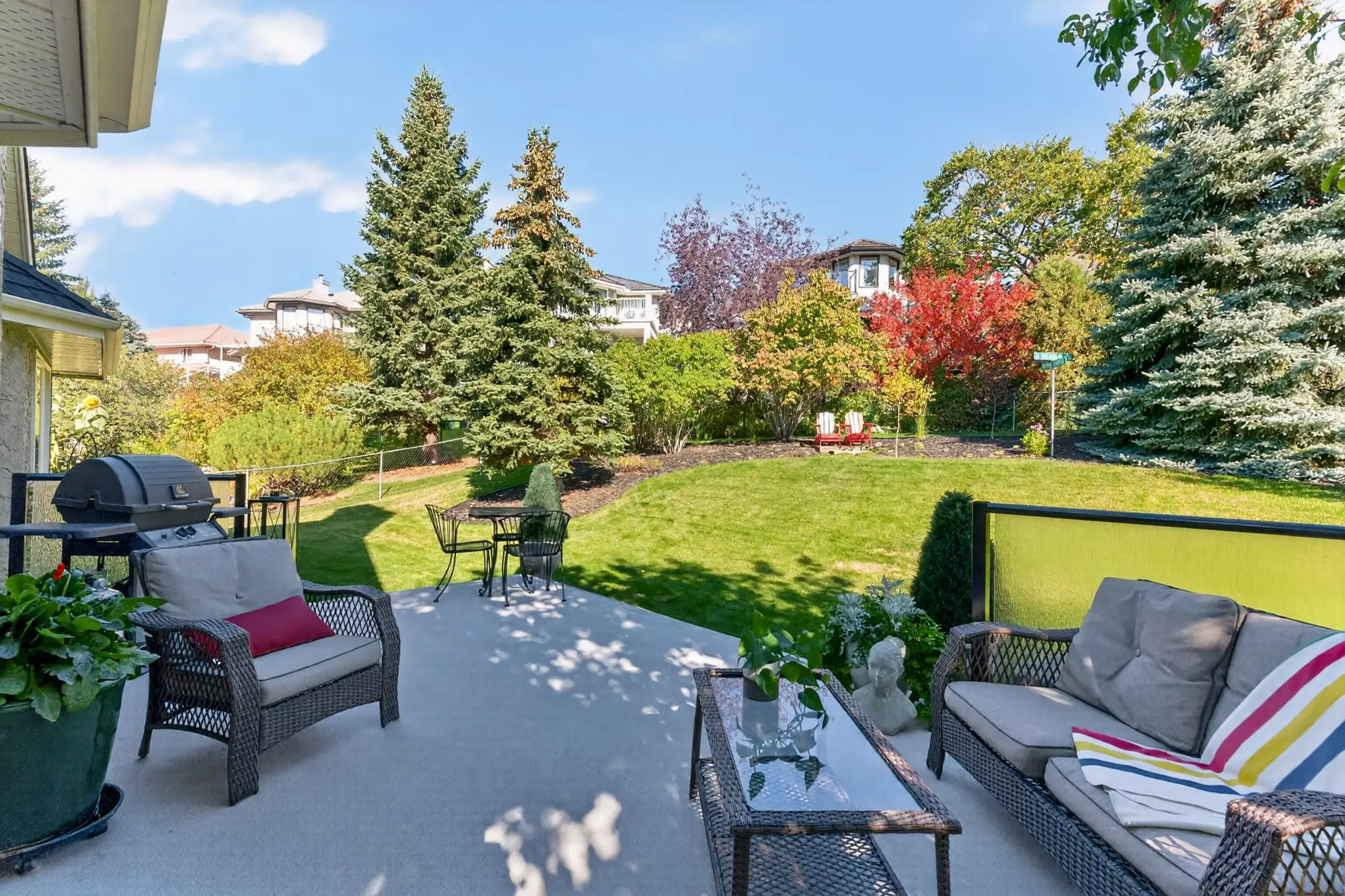 Patio and backyard