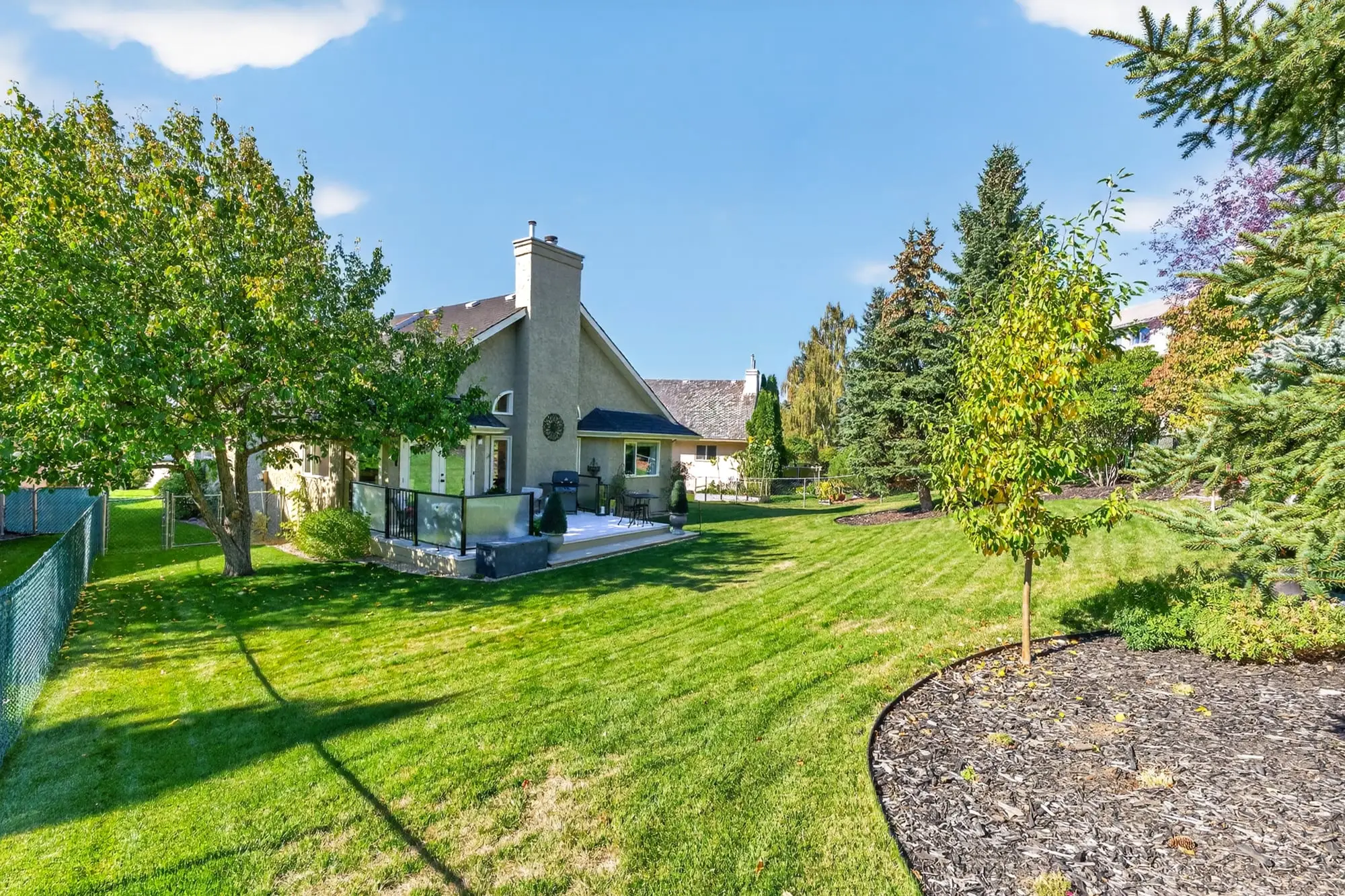 Backyard and mature trees