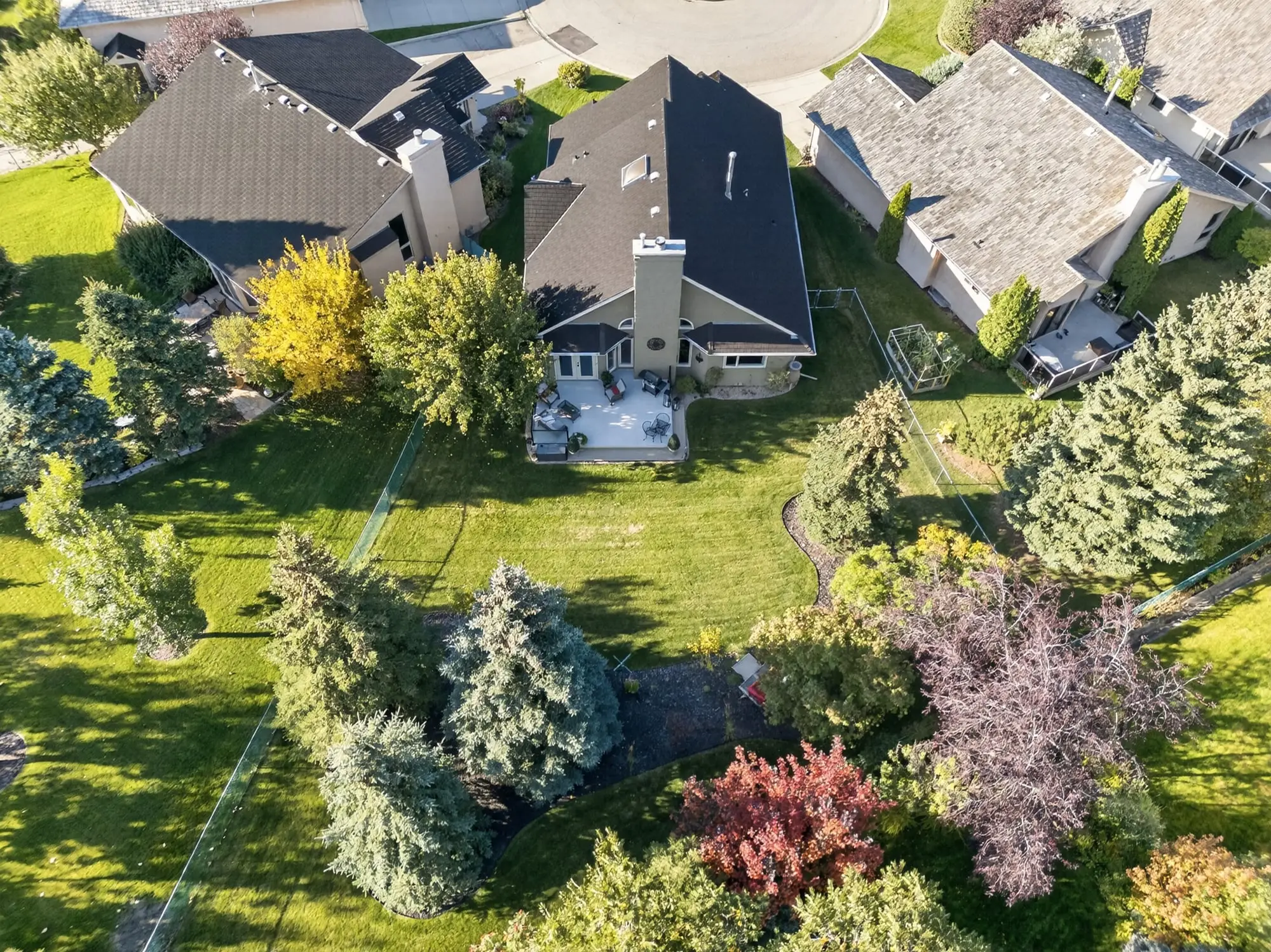 Aerial view of the backyard and green space